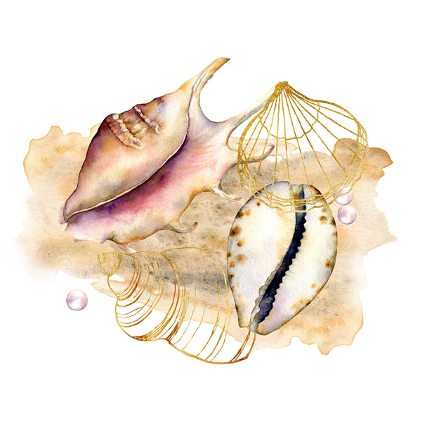 Watercolor composition with shells and pearls. Hand painted underwater elements isolated on white background. Aquatic line art illustration for design, print or background. Trendy nautical collection. - 写真・画像