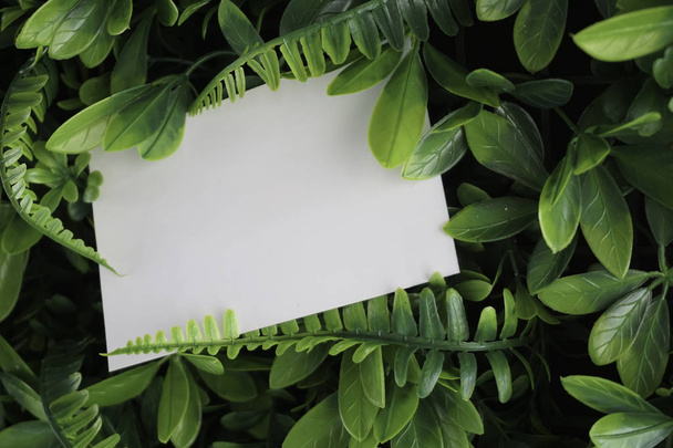 white blank card over green background - Foto, imagen