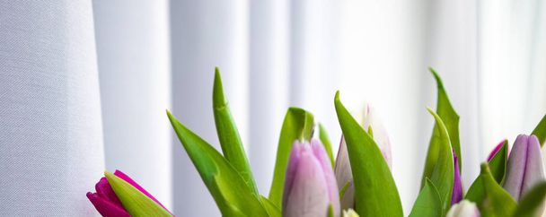 Fresh tulips spring flowers bouquet. On a wooden table - Fotografie, Obrázek