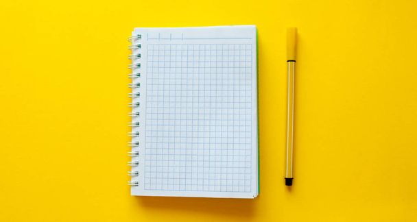 Back to school concept with space for text. Top view. Copy space. School office supplies.Creative desk with colourful stationery. Colored paper clip.School supplies on yellow background.Office desk. - Foto, Imagen
