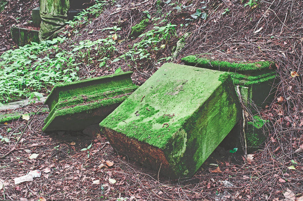 緑の墓地に損傷を与えた壊れた墓石 - 写真・画像