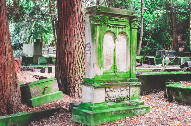 Rikkinäinen hautakivi, jossa on vaurioita vihreällä hautausmaalla
 - Valokuva, kuva