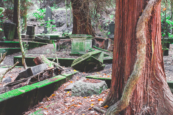 Törött sírkő, károsodás a temetőben a zöld - Fotó, kép