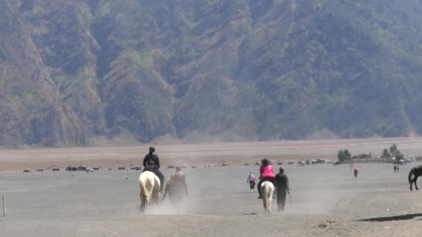 Toeristen paardrijden diensten op Mount Bromo is een van de meest bezochte toeristische attracties in Oost-Java, Semeru, Tengger National Park, Indonesië.  - Video