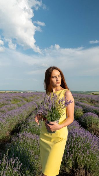 Beautiful Young Woman On Lavander Field - Photo, Image
