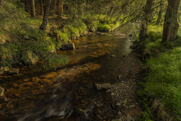Fluss Kamenice in Farbe schöner sonniger Frühlingsabend - Foto, Bild