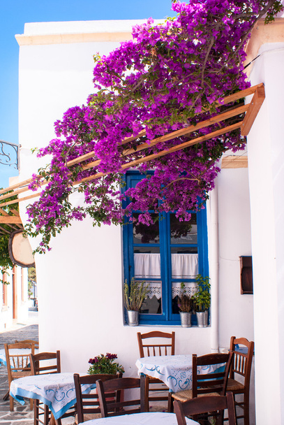 Tradiční řecká ulička na ostrově Sifnos, Řecko - Fotografie, Obrázek