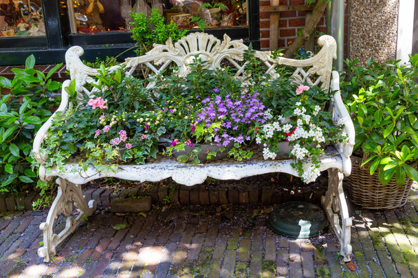 White renaissance bench loaded with plants - Photo, Image