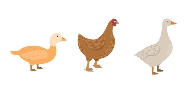 Качка, гуска, курячі іконки в плоскому стилі, птиця Векторні ілюстрації
 - Вектор, зображення
