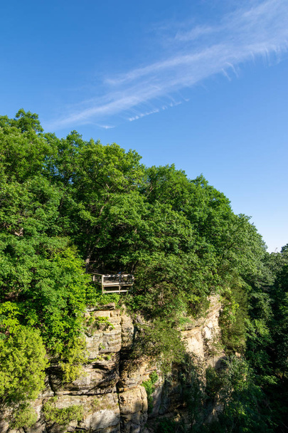 wildcat canyon overlook in late spring/early summer, starved rock state park, north central Illinois. - Foto, immagini