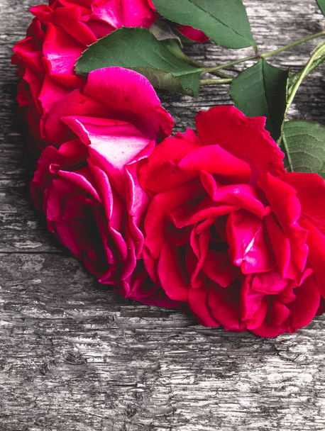 Τριαντάφυλλα σε μια παλιά ξύλινη σανίδα. Κορνίζα λουλουδιών. - Φωτογραφία, εικόνα