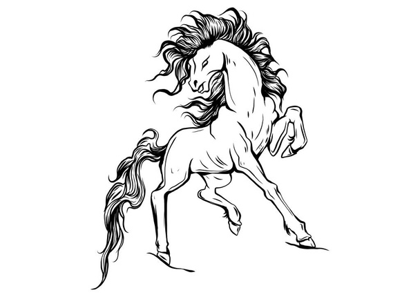 Vektor sziluettje futó ló illusztráció - Vektor, kép