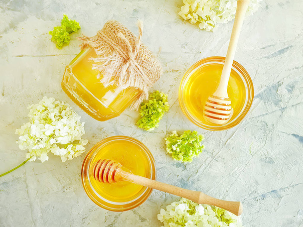verse honing hortensia bloem op grijze betonnen achtergrond - Foto, afbeelding