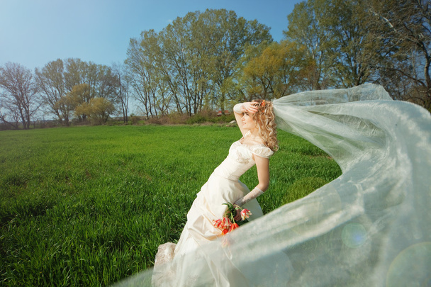 Bride posing in field - 写真・画像