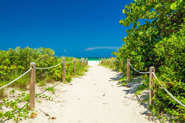 Walkway to the beach, wooden embankment. Miami Beach. Florida.  - Fotoğraf, Görsel