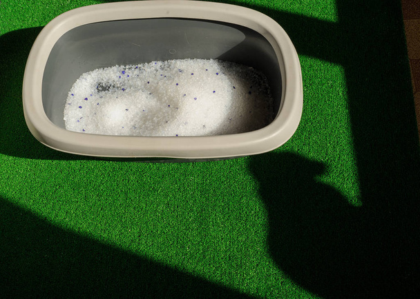 caja de arena con arena en el suelo del baño
 - Foto, imagen