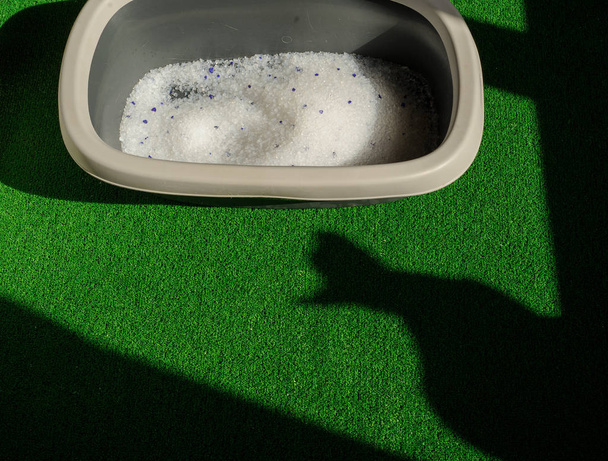 caja de arena con arena en el suelo del baño
 - Foto, imagen