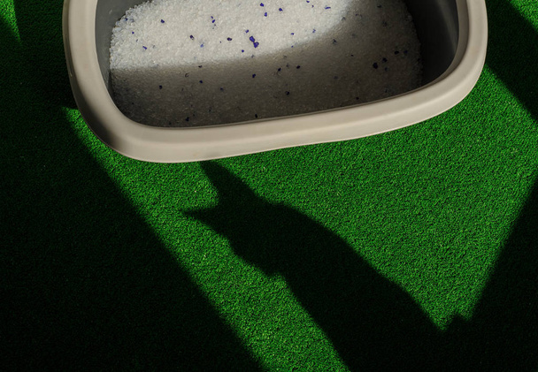 hiekkalaatikko hiekalla kylpyhuoneen lattialla
 - Valokuva, kuva