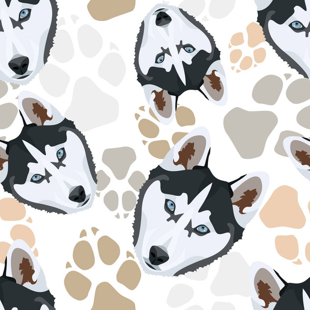 Pattern Dog paws Husky - Vector, afbeelding