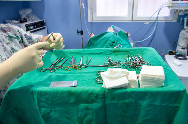 Tierarzt platziert und präpariert steriles Material - Foto, Bild