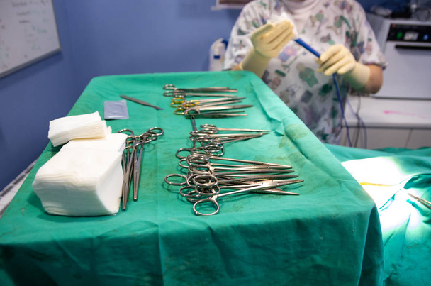 Materiał chirurgiczny w sterylnym obozie i weterynarz przygotowujący skalpel elektryczny - Zdjęcie, obraz