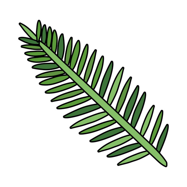 exotic and tropical leaf plant - Vector, Image