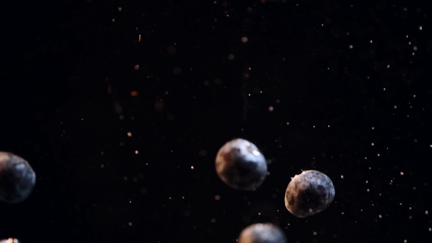 Blueberries falling into water with bubbles against black background. Fresh berries sinking in a vessel. Copy space. Slow motion. - Footage, Video