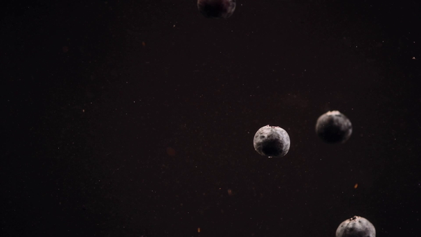 Slow motion of blueberries floating in water against black background. Fresh berries sinking in a vessel. - Footage, Video