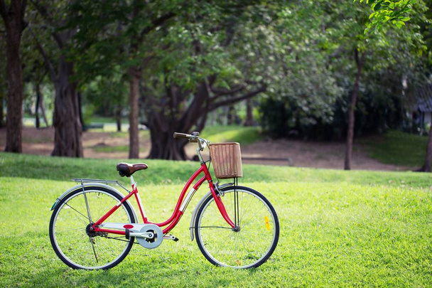 Rode fiets in het Park. - Foto, afbeelding