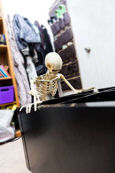squelette osseux assemblant une étagère en bois noir
 - Photo, image
