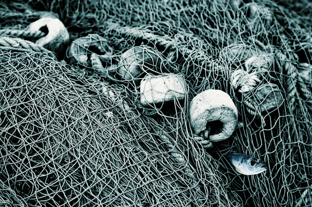 Fischernetze - Foto, Bild