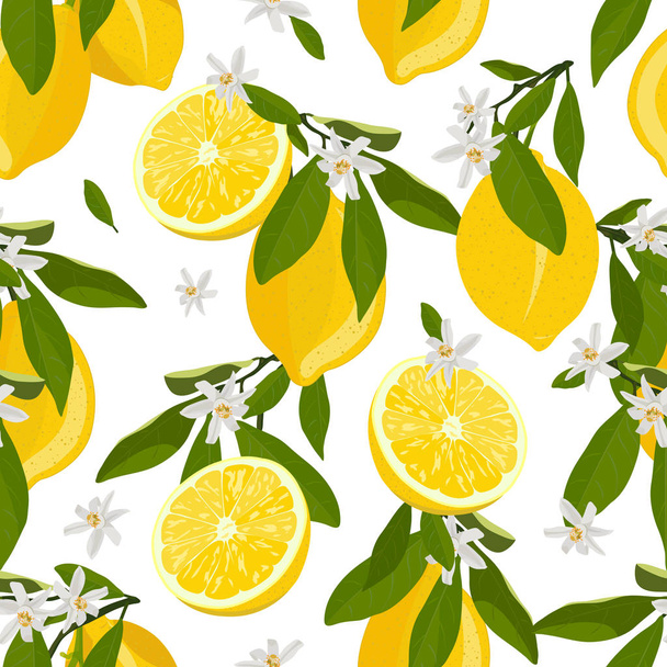 Фрукты лимона имеют бесшовный рисунок с цветами и листьями на белом фоне. Векторная иллюстрация цитрусовых
. - Вектор,изображение
