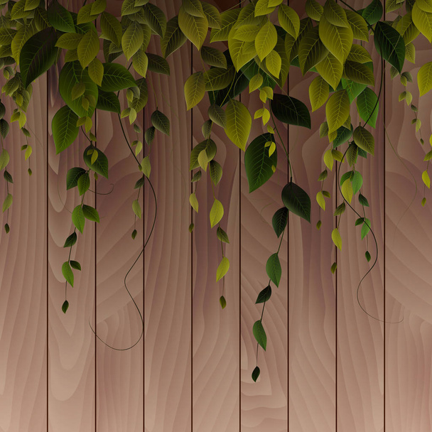 Piante, liane sullo sfondo di tavole di legno. Backgr vettoriale
 - Vettoriali, immagini