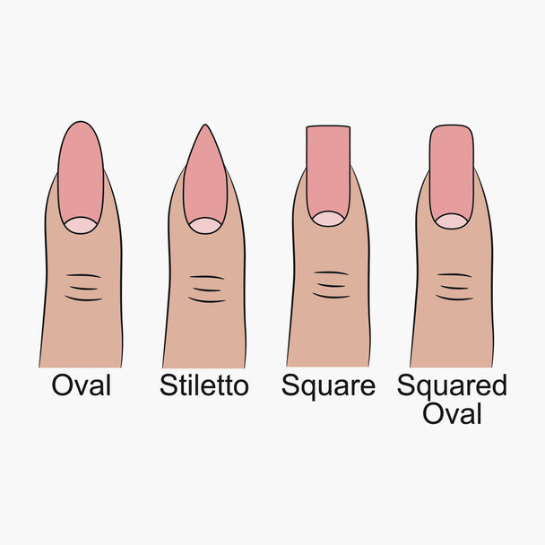 Different nail shapes. - Vector, Image