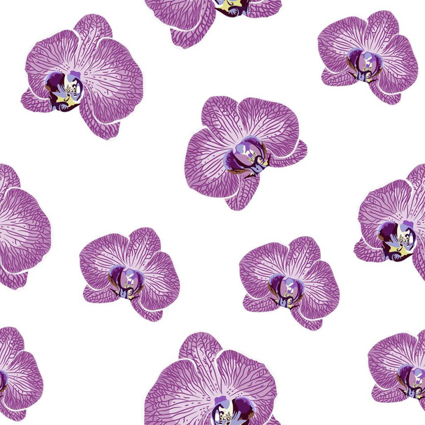 Hand drown orchid flowers seamless pattern. Repeating texture with violet flowers on black background. - Vector, Image