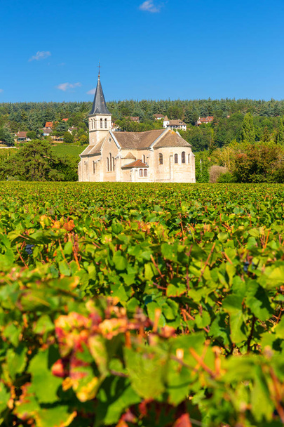 Bela igreja de Givry, aninhada nas vinhas da Borgonha
, - Foto, Imagem