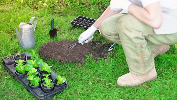 vista parcial de jardinero en cuclillas y el uso de rastrillo mientras se trabaja en el jardín
 - Imágenes, Vídeo
