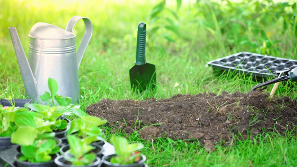 nyírt kilátás Kertész húzza névtáblán ki a talaj és a rake használata - Felvétel, videó