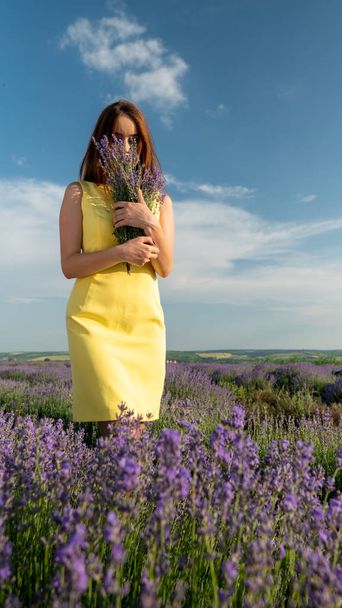 Beautiful Young Woman On Lavander Field - Photo, Image