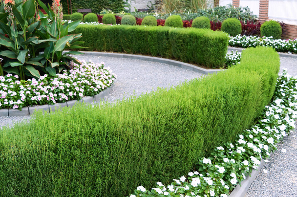Beautiful design of the yard. Blooming flower beds and hedges. Flowers and ornamental shrubs in the yard. - Photo, Image