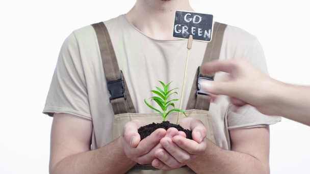 partial view of gardener holding handful of soil with green sprout while man sticking nameplate with inscription in ground - Imágenes, Vídeo