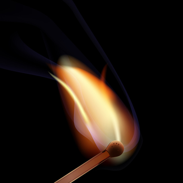 Burning matchstick - Vector, Image