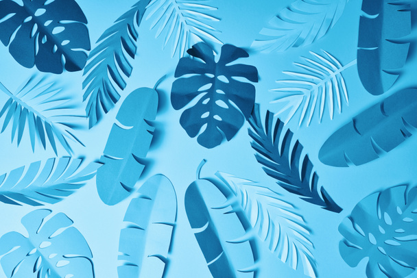 pattern of blue minimalistic paper cut palm leaves on blue background - Foto, imagen