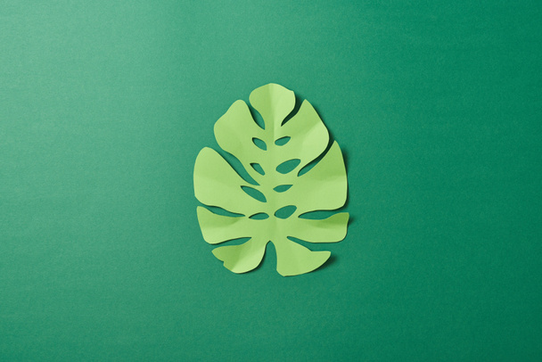 top view of tropical paper cut palm leaf on green background with copy space - Foto, Imagen