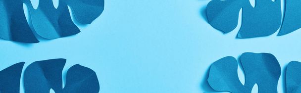 κορυφή θέα του μπλε εξωτικό χαρτί κομμένα φύλλα παλάμης σε μπλε φόντο με χώρο αντιγραφής, πανοραμική βολή - Φωτογραφία, εικόνα