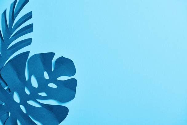 vista superior de hojas de palma cortadas de papel exótico azul sobre fondo azul con espacio para copiar
 - Foto, imagen