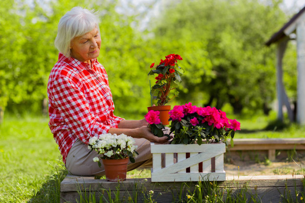 Grey-haired retired woman looking at nice flowers in pots - Foto, imagen