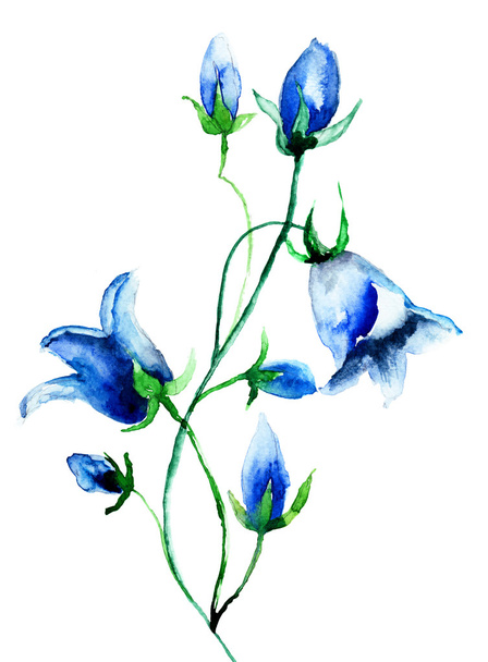 Bell flower - Foto, Imagem