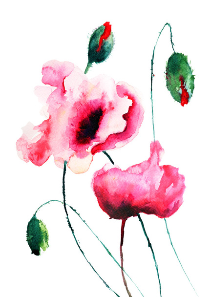 Poppy flowers illustration - Fotoğraf, Görsel