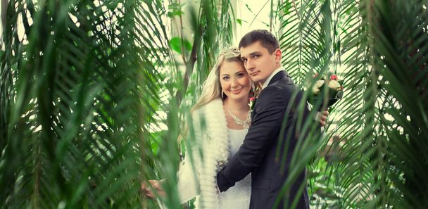 Young wedding couple - Fotografie, Obrázek